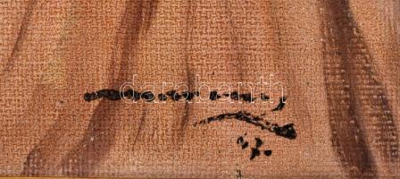 Olvashatatlan jelzéssel: Menyecske. Olaj, vászon. Apró felületi sérülésekkel. Dekoratív fakeretben. ...