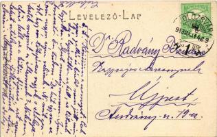 1913 Dés, Dej; látkép. W.L. (?) 375. Goldstein Jakab kiadása / general view (EK)