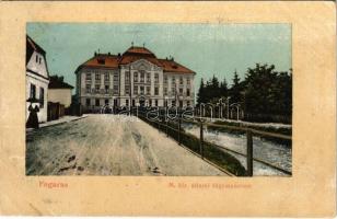 1911 Fogaras, Fagaras; M. kir. állami főgimnázium. Thierfeld Dávid kiadása / grammar school (fl)