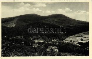 Bártfa, Bártfafürdő, Bardejovské Kúpele, Bardiov, Bardejov; Panorama / látkép. M. Slamovits kiadása / general view, spa (EK)