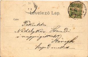 1902 Budapest XI. Gellérthegy és balparti részlet, Citadella, pesti rakpart, gőzhajó kikötő. Art Nou...