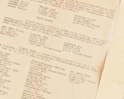 1945 Kimutatás a háborús bűnösökről a fegyverszüneti egyezmény 14 §-ához + Valentiny Ágoston, az Ide...