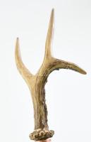 Tőrös, agancsos vadász bot, XX. század, tokja későbbi pótlás, szép állapotban, h: 103 cm