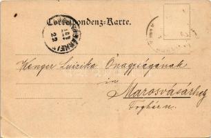 1902 Bijeljina, Bjelina; Stadttheil Ledinka / street + "K. und K. Milit. Post Bjelina" (EB...