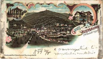 1899 (Vorläufer) Savanyúkút, Bad Sauerbrunn bei Wiener Neustadt; Kút, Savanyúkút, Fürdőház. Schwidernoch Károly műintézete / Brunnen, Badhaus / spa, bath. Art Nouveau, floral, litho (szakadások / tears)