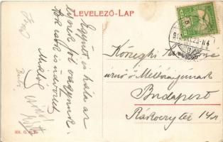 1910 Nagyszombat, Trnava; Ferenc József tér, Szentháromság szobor, piac / square, market, Trinity st...