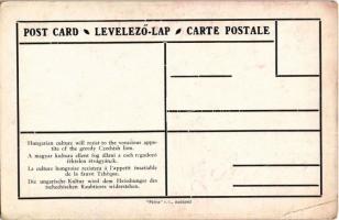 Kassa, Kosice; A magyar kultúra ellent fog állani a cseh ragadozó féktelen étvágyának. Irredenta, Pá...