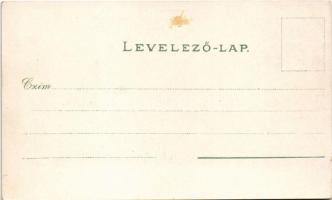 Újvidék, Novi Sad; Pétervárad vár, Erzsébet tér, Központi hitelintézet, Központi szálloda, Lövölde /...