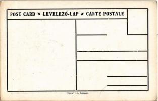 Temesvár, Timisoara; Magyar, német,román (oláh) és szerb nemzetiségek népesség aránya. Címer, Pátria...