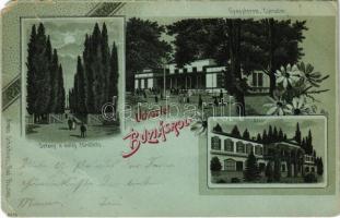 1899 (Vorläufer) Buziás, Buziásfürdő, Baile Buzias; Gyógyterem, sétány a meleg fürdőhöz, bazár üzlet. Armin Schatteles kiadása / spa, promenade, shop. Art Nouveau, floral, litho (szakadás / tear)