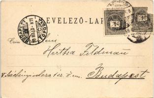 1899 (Vorläufer) Vajdahunyad, Hunedoara; Hunyad vára / castle. A. von Palocsay Art Nouveau, floral (...