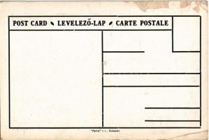 Pozsony, Pressburg, Bratislava; Magyar, tót és német nemzetiségek népesség aránya. Címer, Pátria rt....