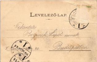 1903 Balatonfüred, Hercegprímási park. Grüner Simon kiadása (Rb)