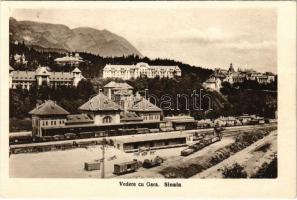 Sinaia, Vedere cu Gara / railway station, train