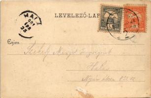 1901 Szabadka, Subotica; Kaponyai emlék és nemzeti kaszinó. Heumann Mór kiadása / Heroes' monum...