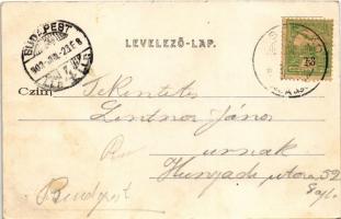 1903 Visegrád, várrom, ingahajó, kirándulók a Duna parton. Divald Károly 22.