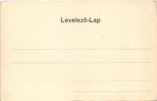 Szabadka, Subotica; Főgimnázium. Víg Zsigm. Sándor kiadása / school (EK)