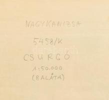 76 db magyar katonai térkép cca 1910-1920 általában szép állapotban