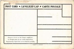 Magyarország imperialista szomszédainak martaléka. Pátria r.-t. / Hungary thrown to her hungry neigh...