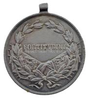 1917. "Károly Ezüst Vitézségi Érem II. osztálya" peremén jelzett Ag kitüntetés mellszalag ...