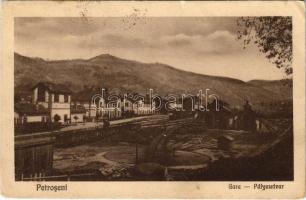 Petrozsény, Petrosani; Gara / pályaudvar, Vasúti mozdonyfordító, fordítókorong a vasútállomáson, vonat. Wilhelm Grosz kiadása / railway station, turntable (wheelhouse), train (EB)