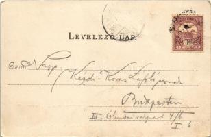 1900 Siófok, fürdőház korabeli fürdőruhás hölgyekkel. Divald Károly 204