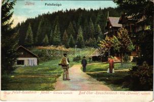 1912 Felsőzúgó-fürdő, Ruzsbachfürdő, Bad Ober Rauschenbach, Kúpele Vysné Ruzbachy; Tátra, Teresia nyaraló. Feitzinger Ede 1905. Aut. N. 933. / Villa Theresia (kopott sarok / worn corner)