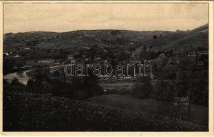 Kőrösmező, Körösmező, Yasinia, Yasinya, Jaszinya, Jassinja, Jasina; Partie z Lazesciny / Mezőhát (Lazescsina) látképe / general view