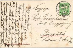 1912 Léva, Levice; Rákóczi fa (1992-ben kidőlt) / tree (fell in 1992)