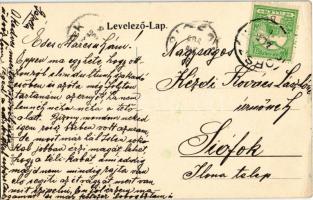 1908 Borszék-fürdő, Baile Borsec; vízesés alsóborszéken. Soós kiadása / waterfall (kis szakadás / sm...