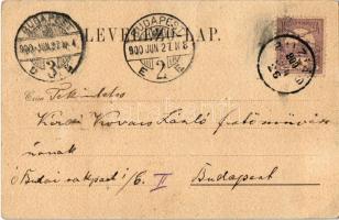 1900 Buziás, Étkező termek, étterem. Herrling Károly kiadása / restaurant hall (EK)