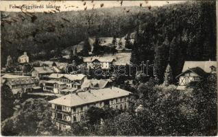 1913 Feketehegy-fürdő, Feketehegy, Schwartzenberg, Cernohorské kúpele (Merény, Vondrisel, Nálepkovo); látkép / general view, spa