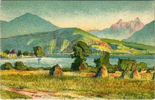 Zürichsee am Obersee. Schwarzer & Cie. litho s: E. Stiefel