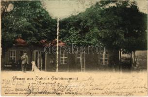 1903 Werbellinsee, Gruss aus Zabel's Etablissement / restaurant