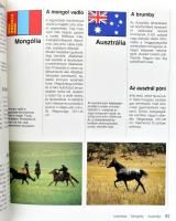 Heidrun Werner: Lovak. Fajták - Tartás - Kiképzés - Sport. Ford.: Kürti Péter. Bp., 1993, SubRosa. G...