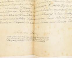 1908-1909 Ocsovszky Vilmos orvos doktori oklevele, Kolozsvár, Kolozsvári Ferenc József Tudományegyet...