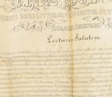 1908-1909 Ocsovszky Vilmos orvos doktori oklevele, Kolozsvár, Kolozsvári Ferenc József Tudományegyet...