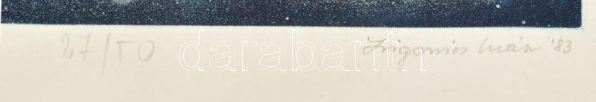 Zsigovics Iván (1958- ):Vadászrepülők. Rézkarc, papír, jelzett, számozott (27/50), kis gyűrődésekkel...