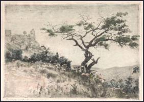 Zombory Moldován Béla (1885-1967): Boldogkővár. Színezett rézkarc, papír, jelzett, lap teteje karton...