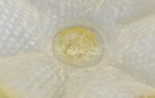 Nagy méretű muranoi üveg kínáló tál. Kerámia talppal d: 44 cm