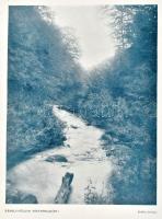 József főherceg: Erdei magány és egyéb vadásztörténetek. Bp., 1913, Athenaeum, 1 t. + 243+(1) p. + 1...