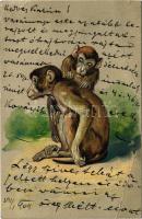 1904 Majom. Dombornyomott / Monkeys. P.F.B. Serie 3106. Embossed litho (EB)