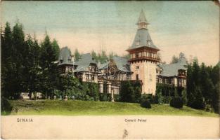 Sinaia, Castelul Peles / castle. Editura J. Schwarzfeld (fl)