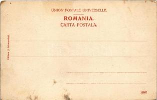 Sinaia, Castelul Peles / castle. Editura J. Schwarzfeld (fl)