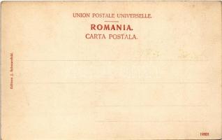 Sinaia, Vederea Cantinei si Corpu de Garda / view of the canteen and Guard Corps. Editura J. Schwarz...