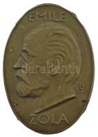 Beck Ö. Fülöp (1873-1945) DN Emile Zola bronz lemezplakett (40x57mm) T:XF,VF a hátsó négy pántból egy letört