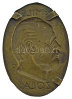 Beck Ö. Fülöp (1873-1945) DN "Emile Zola" bronz lemezplakett (40x57mm) T:XF,VF a hátsó nég...