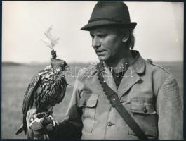 1970 A Magasiskola c. film 11 db stand fotó Bánffy György, Harsányi Gábor, Kertész Péter 24x16 cm