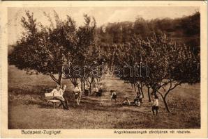 1929 Budapest XII. Zugliget, Angolkisasszonyok zárdájának rét részlete (EK)