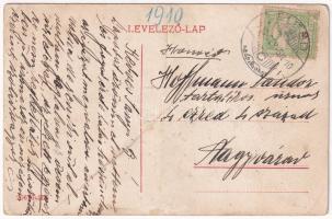 1910 Élesd, Alesd; Bank részvénytársaság, Vilma lak, szőlőskert / bank, villa, vineyards (fa)